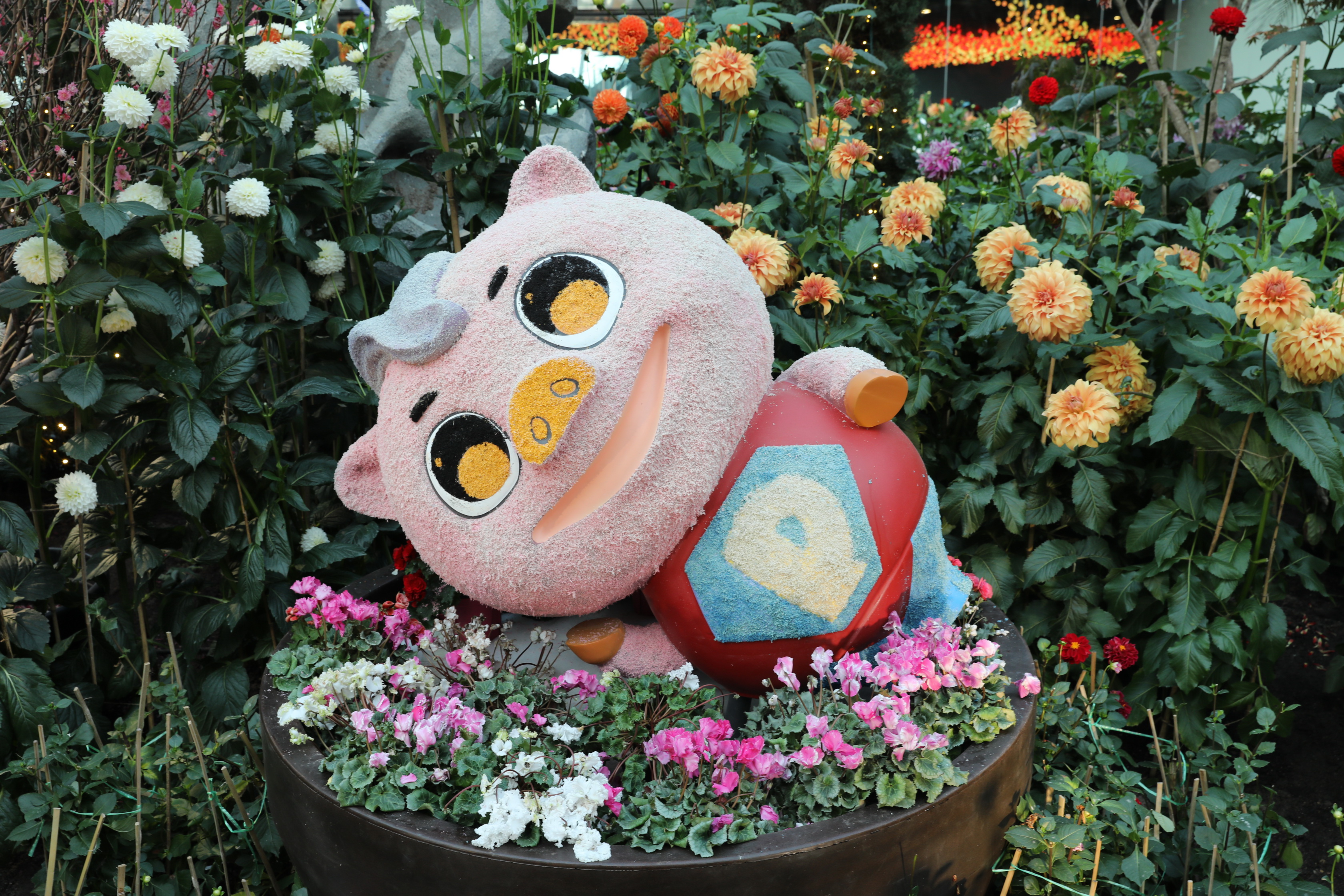 2020 02 03 18 47 39 Canon EOS 5D Mark IV 0069